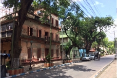 Prapaditya-Road,-Southern-Avenue